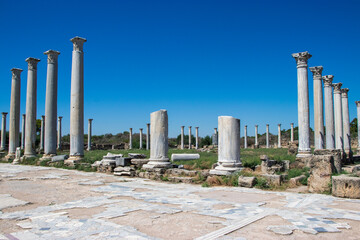 The Salamis ruins, Famagusta, Turkish Republic of Northern Cyprus, Cyprus