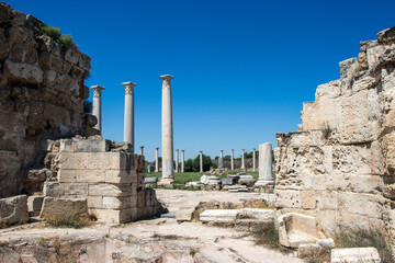 Fototapeta na wymiar The Salamis ruins, Famagusta, Turkish Republic of Northern Cyprus, Cyprus