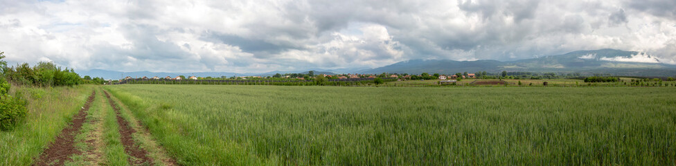 Summertime. Panorama of the green fields of Bulgaria under the Konyavska mountain.
