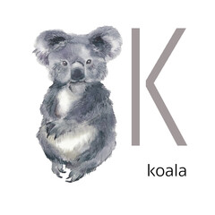 Animals alphabet. K for koala. Watercolor letters illustration isolated on white background