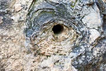 natural cavity in sedimentary rock