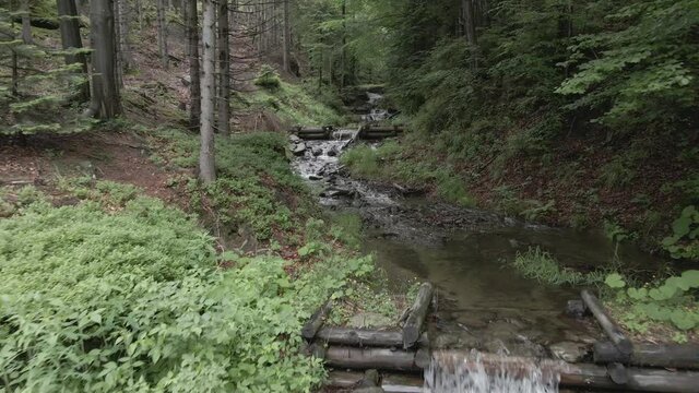 Sources of the Vistula River in Beskidy.