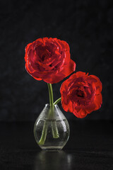 Image with tulips.