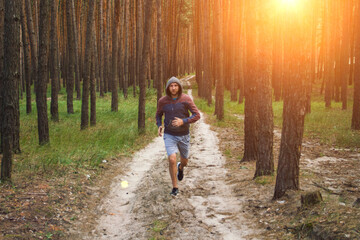 Obraz premium Man in hoodie has workout in a pine forest. Concept of morning matins jogging in outdoor