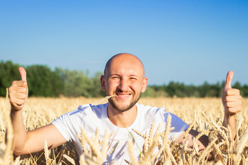 A young man makes a gesture with his hands and looks out of wheat, a field of wheat. Happy farmer concept, good harvest