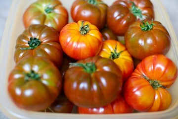 Close-up view of fresh tomatoes. Organic tomatoes grown in the village and standing in the basket. 