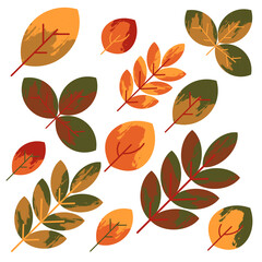 Colorful autumn leaves set