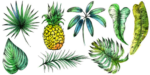 tropical fruits, tropical, leaves, tropics, pineapple