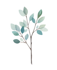 tree branch with leaves watercolor illustration on white background