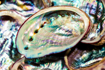 Raw Texture Of Small Abalone Shell