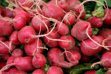 Fresh Vegetables at a local farmers market
