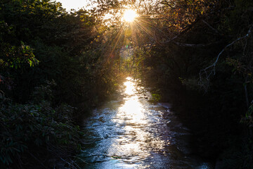 Obraz premium Jau River