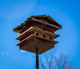 Bird House