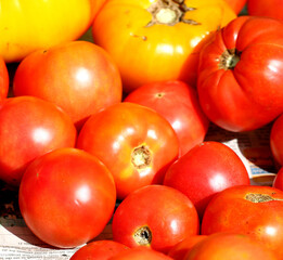 Fresh Vegetables at a local farmers market