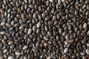 Macro photo of chia seeds. Superfoods, healthy black seeds organic, source of omega 3, calcium and iron. Proper nutrition, diet and health care.
