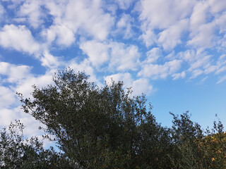 Paesaggio di Sardegna