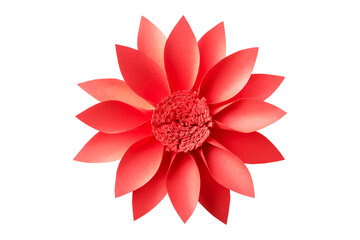 Isolated red paper flower on white background