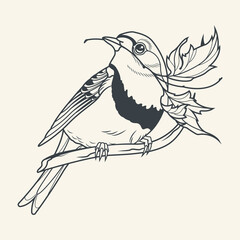 Sparrow with leaf on a branch, Line Art Tattoo Design Style Drawing 