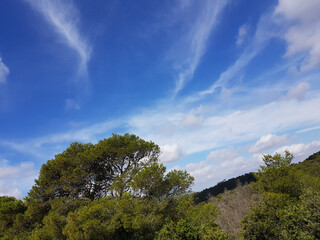Paesaggio di Sardegna