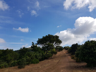 Obraz premium Paesaggio di Sardegna