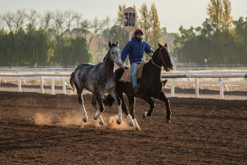 En épocas de cuarentena obligatoria por el Covid-19, en el Hipódromo de Mendoza se entrena todos...