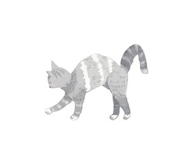 Cat. Watercolor cat illustration. - 360214430