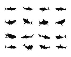 Shark Silhouette collection 