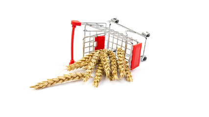 In a metal trolley on a white background are rye grains