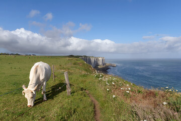 Hiking trail on the White cliffs of the Normandy coast