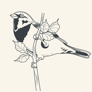 recommend clip art: Sparrow and Leaves, Little Birdie on a branch, Line art Drawing, Tattoo Design Style 