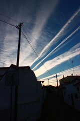 Sunset with palm and chemtrails