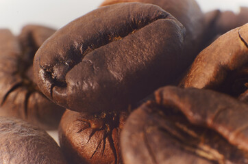coffee bean close up macro isolated on a white background