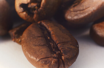 coffee bean close up macro isolated on a white background