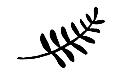 Hand drawn vector illustration of herbs. Doodle floral element. Spring and summer symbol. Contour otline drawing of simple black twigs and flowers