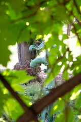 Fototapeta premium Antique and old yard water pump