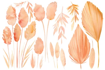  Set of drawings of dry plants, Tropical Leaves, on a white background, watercolor illustration, beige herbs © Hanna