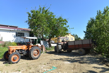 Agricoltura