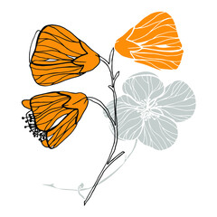 Vector Abutilon. Floral design. Botanical design. Flowers