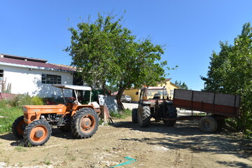 Obraz premium Agricoltura
