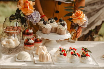 Delicious wedding reception candy bar dessert table on the garden