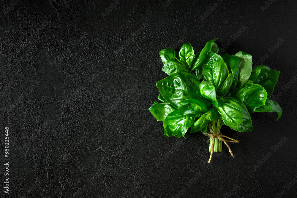 Wall mural Fresh green basil on dark concrete background. Top view. Flat lay