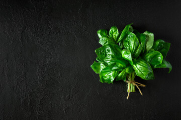 Fresh green basil on dark concrete background. Top view. Flat lay