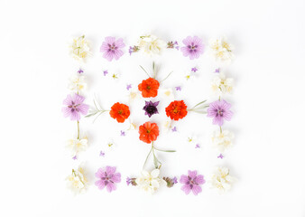 Square ornament made of summer flowers on white background. Flat lay, top view, copy space