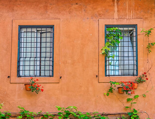 Rome Italy, vintage house two windows with potted flowers on vibrant magenta ocher wall