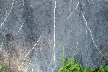 Fototapeta na wymiar Abstract background and texture of gray stone and white stripes. Pattern line of the rock