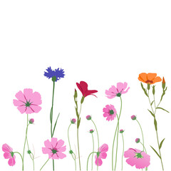 Summer meadow plants, bouquet of cornflower, kosmeya, buttercup. Seamless line horizontal border. Cute colorful wildflowers in row on white background. Vector illustration in flat style.