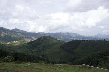 Obraz premium Nature with landscape and tea garden 