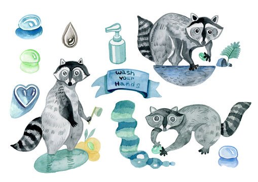Wash your hands, raccoon, water and soap