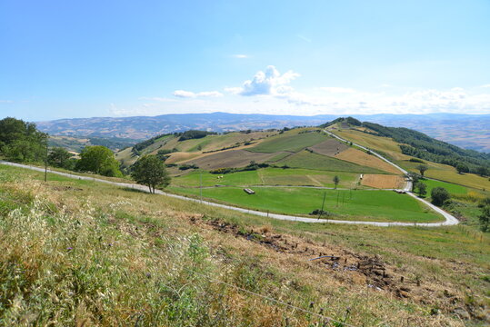 Terreni Agricoli Localita Castelvetere In Val Fortore (BN)