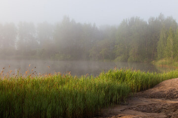 Fog over the lake in the early summer morning.